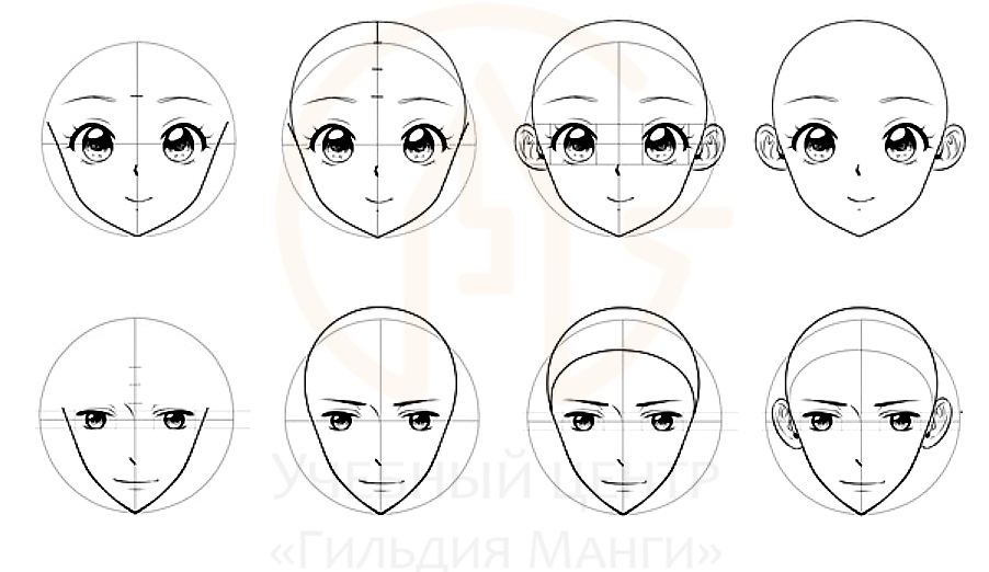 брови и уши для женского и мужского аниме лица - схема как рисовать аниме лицо